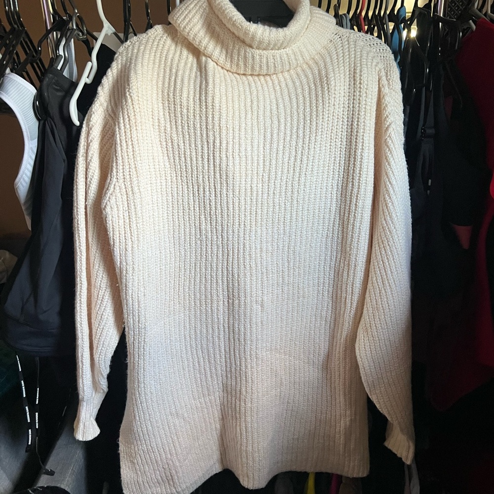 Free people sweater large